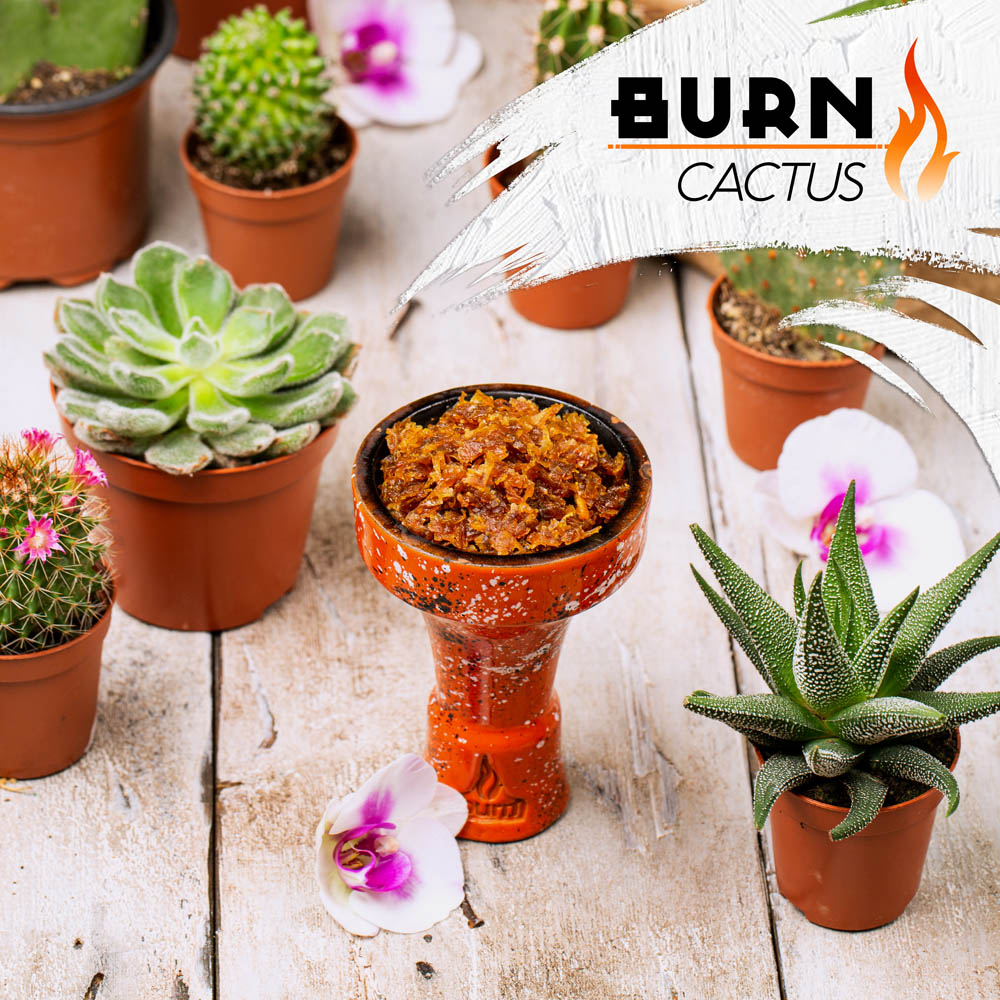 (M) Burn 25 г Cactus (Сладкий вкус колючего мексиканского кактуса)